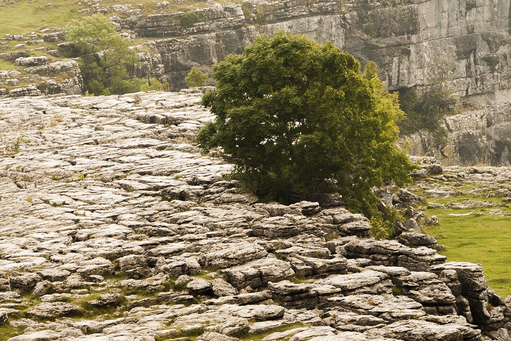 Las rocas de Malham Cove