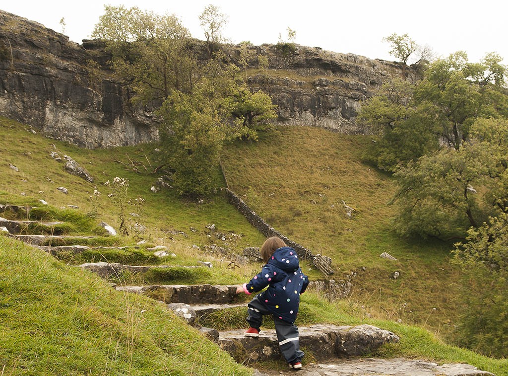 Subiendo los 400 escalones que llevan alo alto de Malham Cove