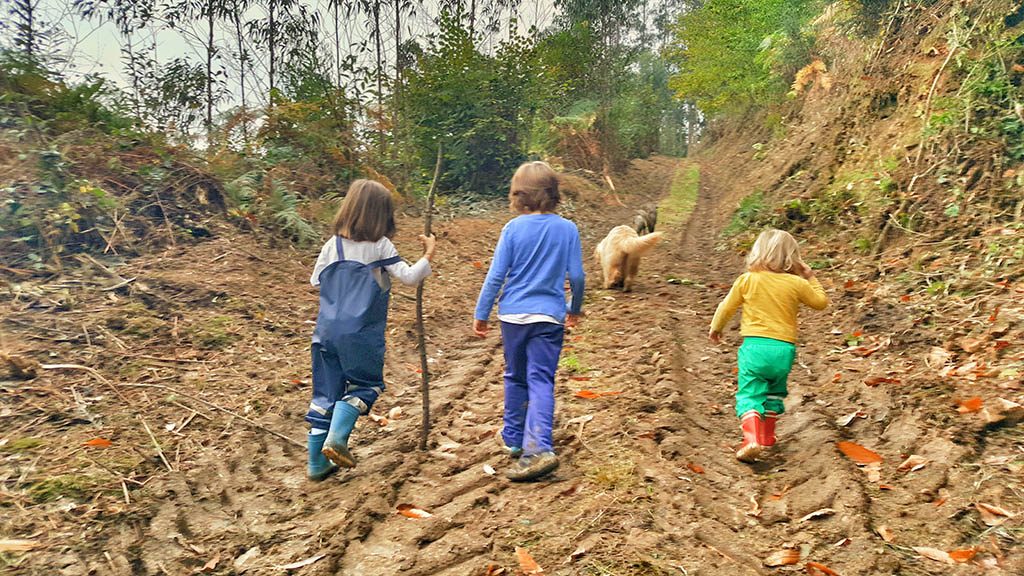 Niños y perros paseando por el campo